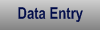 Data Entry